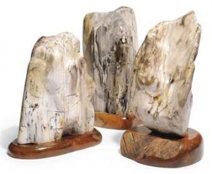 three_specimens_of_petrified_wood_d5421457h