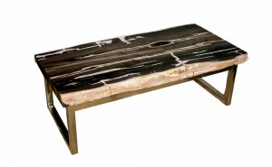 PF-1044+Petrified+Wood+Coffee+Table