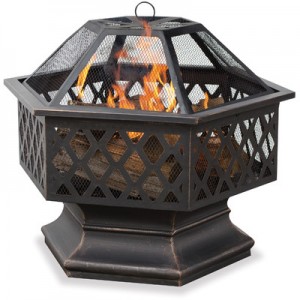 Bronze+Outdoor+Firebowl+with+Lattice