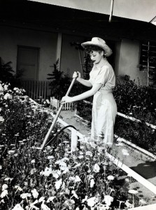 gallery-1436470439-lucy-gardening-popperfoto