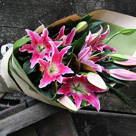 oriental-lilies-sydney-special